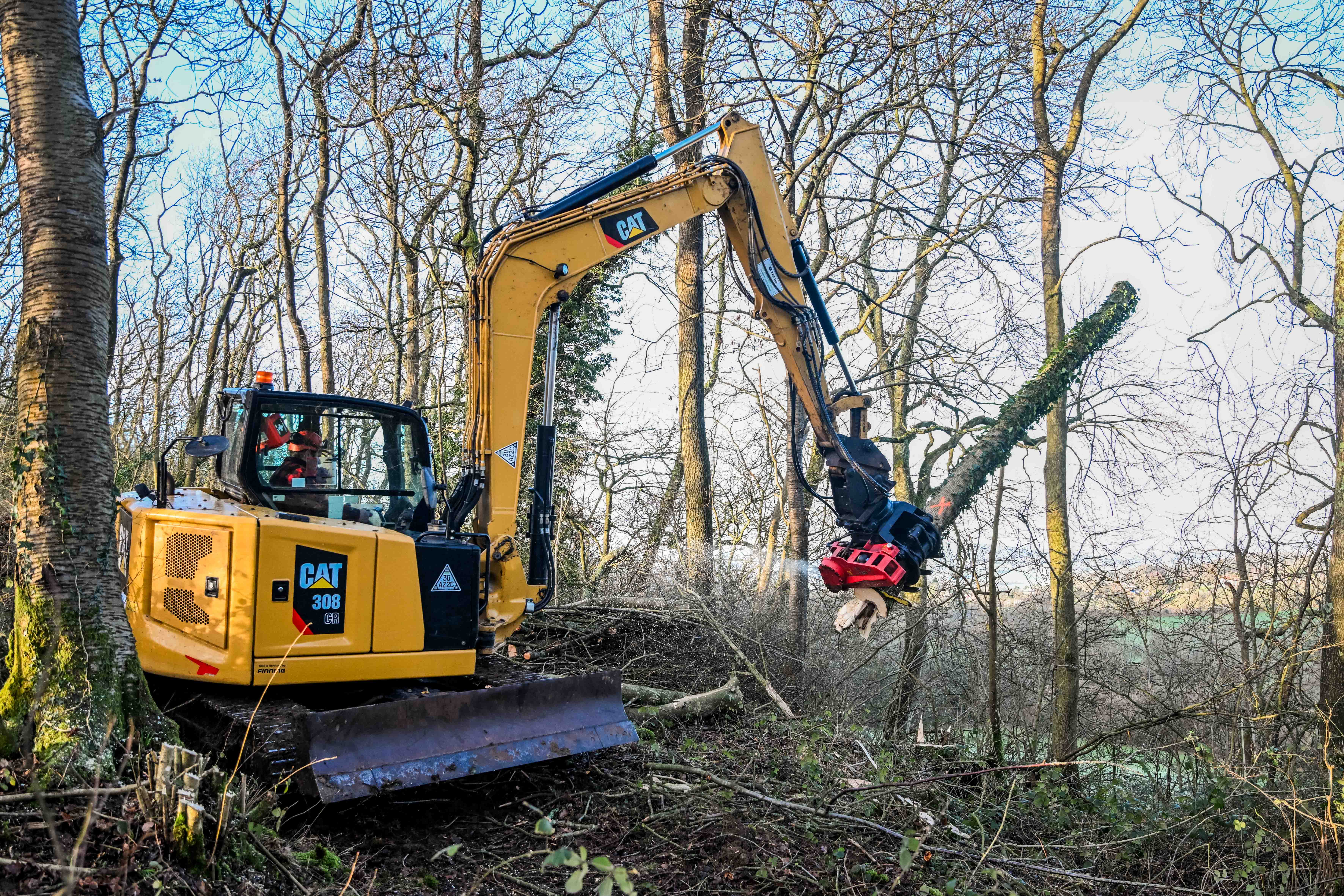 Ed Walker — 9th generation farmer, Walkers Wood