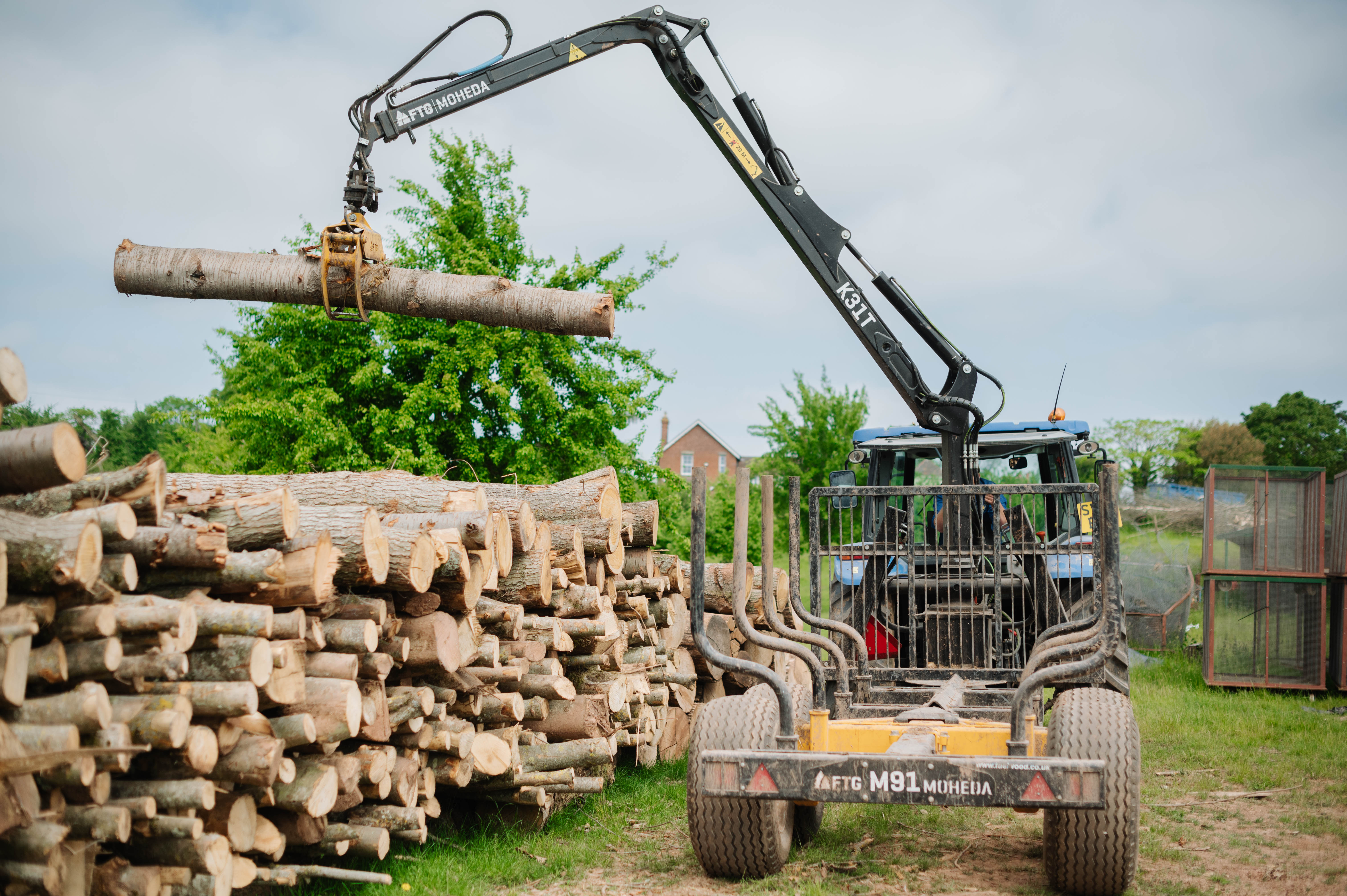 Stacked firewood logs in woodland