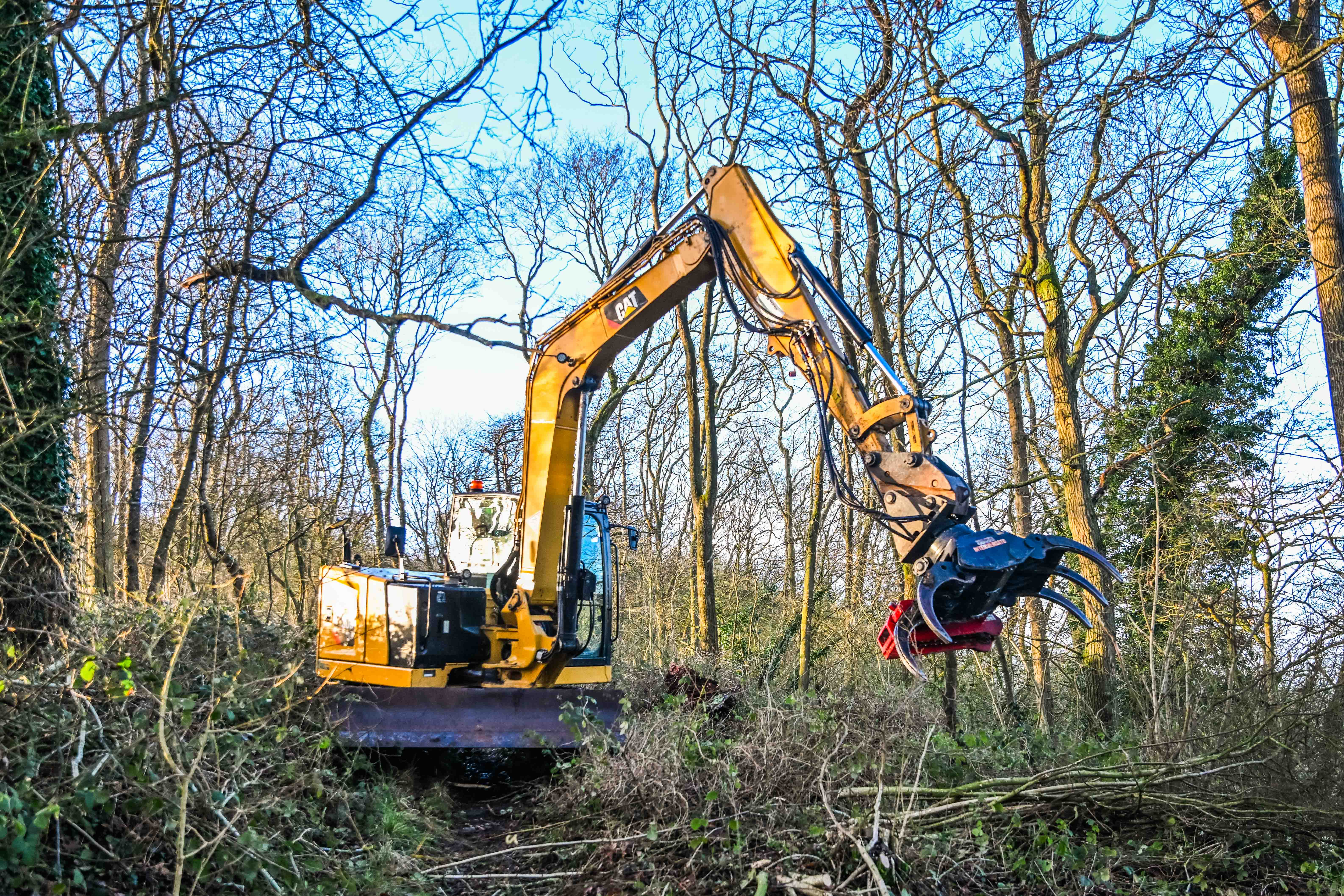 Woodland and site clearance by Walkers Wood